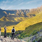 Africa Tourism